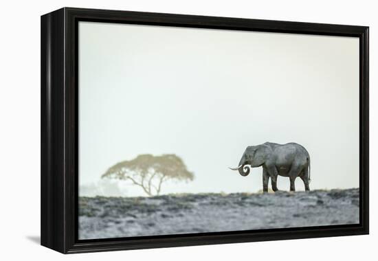 Monochromatic color-Jeffrey C. Sink-Framed Premier Image Canvas