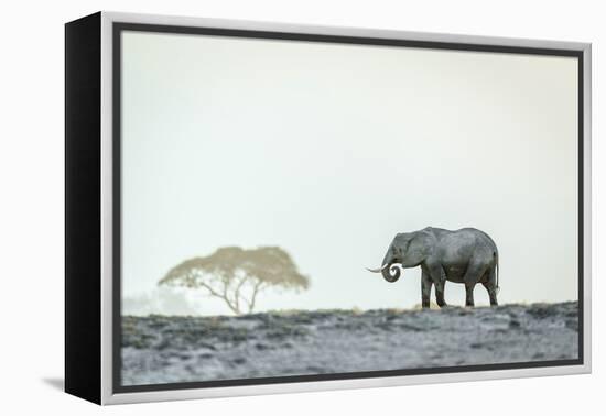 Monochromatic color-Jeffrey C. Sink-Framed Premier Image Canvas