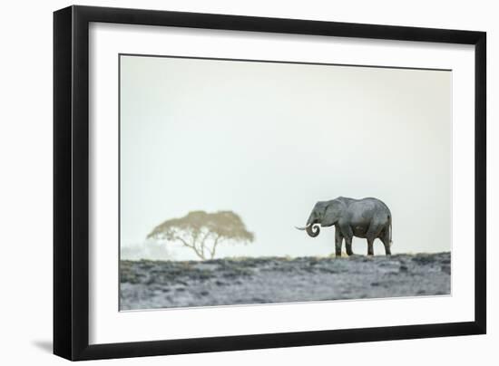 Monochromatic color-Jeffrey C. Sink-Framed Photographic Print