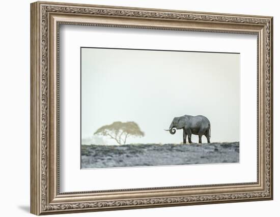 Monochromatic color-Jeffrey C. Sink-Framed Photographic Print