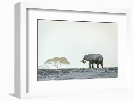 Monochromatic color-Jeffrey C. Sink-Framed Photographic Print