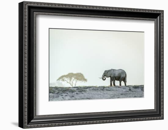 Monochromatic color-Jeffrey C. Sink-Framed Photographic Print