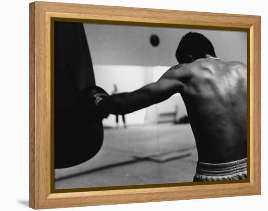 Monochromatic Image of a Boxer Working Out-null-Framed Premier Image Canvas