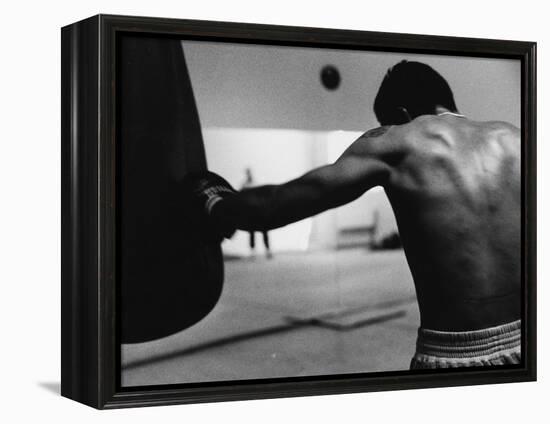 Monochromatic Image of a Boxer Working Out-null-Framed Premier Image Canvas