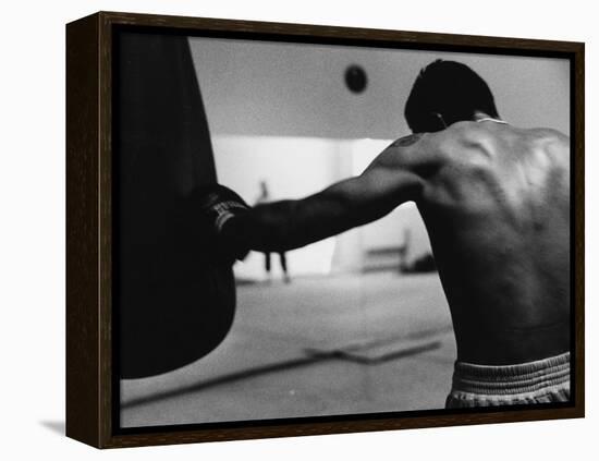 Monochromatic Image of a Boxer Working Out-null-Framed Premier Image Canvas