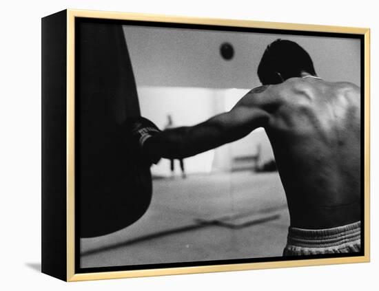 Monochromatic Image of a Boxer Working Out-null-Framed Premier Image Canvas