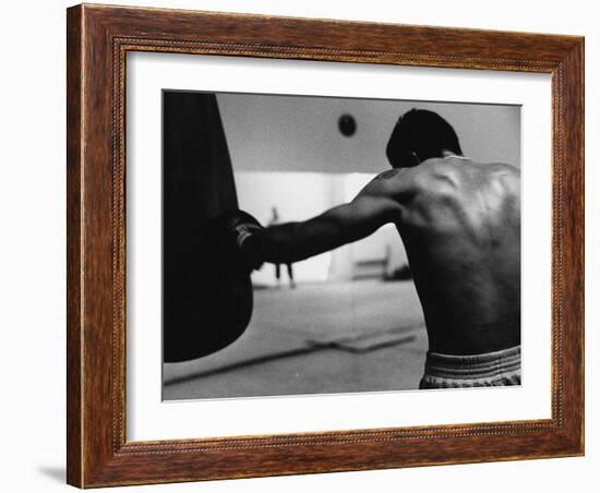 Monochromatic Image of a Boxer Working Out-null-Framed Photographic Print