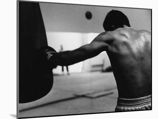 Monochromatic Image of a Boxer Working Out-null-Mounted Photographic Print