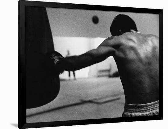 Photographic Print, , large