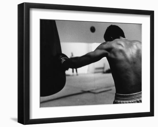 Monochromatic Image of a Boxer Working Out-null-Framed Premium Photographic Print