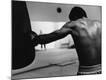 Premium Photographic Print