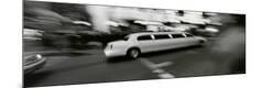Photographic Print