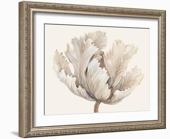 Monochromatic Tulip I-Tim O'toole-Framed Art Print