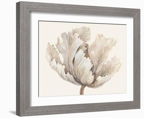 Monochromatic Tulip I-Tim O'toole-Framed Art Print