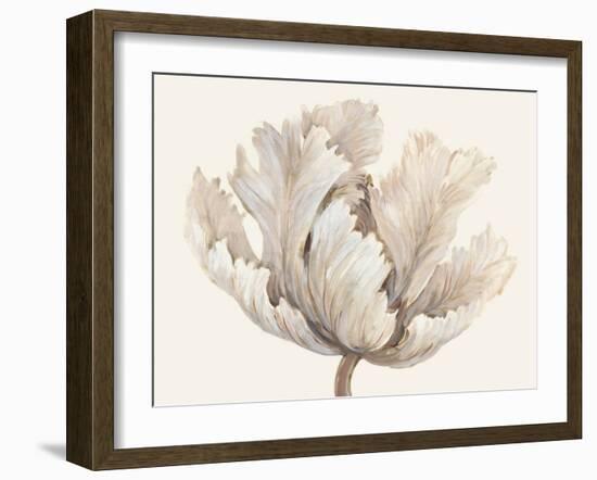 Monochromatic Tulip I-Tim O'toole-Framed Art Print