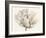 Monochromatic Tulip I-Tim O'toole-Framed Art Print