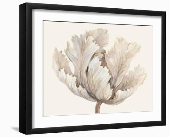 Monochromatic Tulip I-Tim O'toole-Framed Art Print