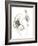 Monochrome Floral Study III-June Vess-Framed Art Print