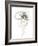 Monochrome Floral Study IV-June Vess-Framed Art Print