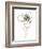 Monochrome Floral Study IV-June Vess-Framed Premium Giclee Print