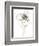 Monochrome Floral Study IV-June Vess-Framed Premium Giclee Print