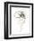 Monochrome Floral Study IV-June Vess-Framed Premium Giclee Print