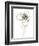 Monochrome Floral Study IV-June Vess-Framed Premium Giclee Print