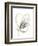 Monochrome Floral Study V-June Vess-Framed Premium Giclee Print