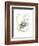 Monochrome Floral Study V-June Vess-Framed Premium Giclee Print