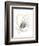 Monochrome Floral Study V-June Vess-Framed Premium Giclee Print