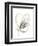 Monochrome Floral Study V-June Vess-Framed Premium Giclee Print