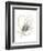 Monochrome Floral Study V-June Vess-Framed Premium Giclee Print