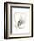 Monochrome Floral Study V-June Vess-Framed Premium Giclee Print