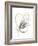 Monochrome Floral Study V-June Vess-Framed Art Print