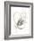 Monochrome Floral Study V-June Vess-Framed Art Print