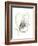 Monochrome Floral Study V-June Vess-Framed Art Print