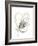 Monochrome Floral Study V-June Vess-Framed Art Print