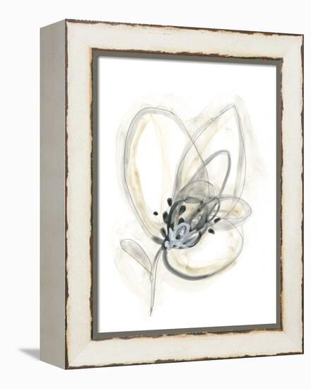 Monochrome Floral Study V-June Vess-Framed Stretched Canvas