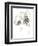 Monochrome Floral Study VI-June Vess-Framed Premium Giclee Print