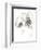 Monochrome Floral Study VI-June Vess-Framed Premium Giclee Print