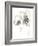 Monochrome Floral Study VI-June Vess-Framed Art Print