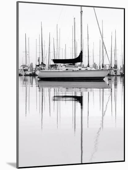 Monochrome Harbor-Nicholas Bell-Mounted Photographic Print