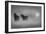 Monochrome Moods-Adrian Campfield-Framed Photographic Print