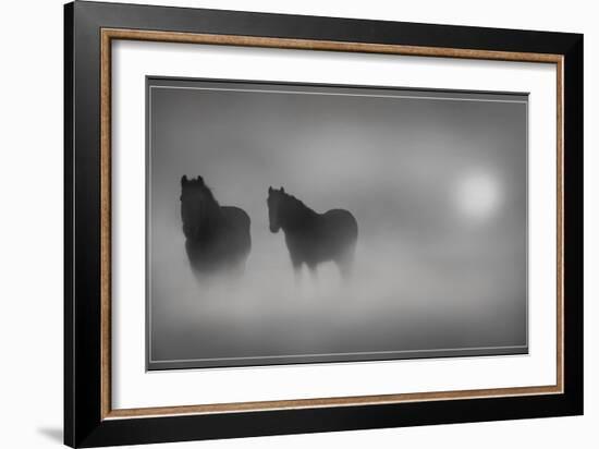 Monochrome Moods-Adrian Campfield-Framed Photographic Print