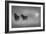 Monochrome Moods-Adrian Campfield-Framed Photographic Print