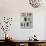 Monochrome Plume II-Sandra Jacobs-Giclee Print displayed on a wall