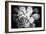 Monochrome Succulent IV-Erin Berzel-Framed Photographic Print