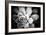 Monochrome Succulent IV-Erin Berzel-Framed Photographic Print