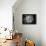 Monochrome Succulent V-Erin Berzel-Framed Premier Image Canvas displayed on a wall