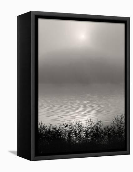 Monochrome Sunrise-Nicholas Bell-Framed Premier Image Canvas